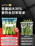 SP SAUCE保鲜密封袋滑索拉链式食品袋冰箱冷藏收纳袋48个中号 实拍图