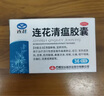 以岭连花清瘟胶囊 0.35g*36粒/盒 流感药 抗病毒用药 感冒咳嗽 感冒药 退烧药 新冠疫情 莲花温清 开车可服不嗜睡 实拍图