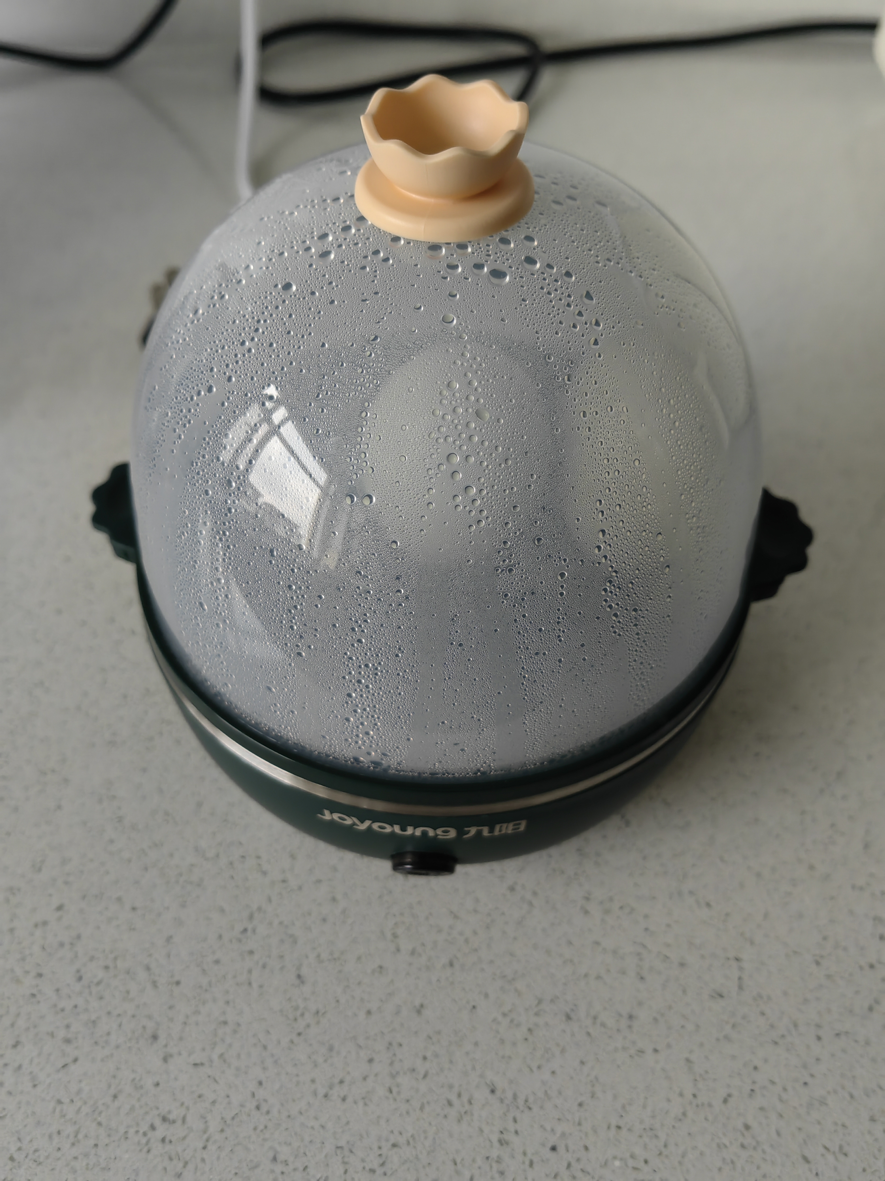 九阳（Joyoung）煮蛋器多功能智能蒸蛋器一键启动 7个蛋量 ZD7-GE130 实拍图