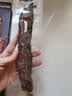 1号牧场大脆条 超干牛肉干 香脆牛肉条 25g原味 牛肉干 实拍图