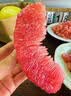 晟容果蔬 海南红心蜜柚【多地次日达】当季柚子三红肉柚应季新鲜水果送礼 5斤【超值推荐-80%选择】2-3个装丨净4.5斤 严选【红宝石丨红心柚】一口爆汁 实拍图