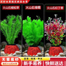 疯狂水草（FKSC）鱼缸水草蜈蚣草鱼缸造景专用真水草懒人水培植物净化水质直接入缸 【火山石】水草新手入门3棵 实拍图