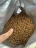 皇家猫粮 室内成猫粮 I27 通用粮 12月以上 10KG 实拍图