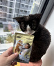 多特思猫主食餐包30包成幼猫湿粮非零食罐头全价羊奶炖鸡猫咪汤包饭 实拍图