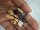 老街口黑皮花生400g五香味黑花生米下酒菜休闲小零食解馋坚果炒货新货 实拍图