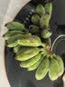 苹果蕉新鲜广西香蕉自然熟芭蕉香甜粉糯万澄现摘生鲜现发水果 带箱5斤 实拍图