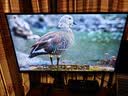 KTC 27英寸2K 220Hz 旋转升降 内置音箱FastIPS显示屏HDR400硬件护眼三角洲电脑显示器H27T22S-3 Pro 实拍图
