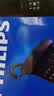 飞利浦（PHILIPS）电话机座机 固定电话 办公家用 家庭有线电话 来电显示 双接口 免电池 CORD118黑色 实拍图