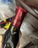 劲牌中国劲酒 35度 520mL 单瓶装 养生酒 自饮 中秋送礼 实拍图