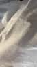 布先生春夏季短袖T恤男士纯棉小白T纯色内搭打底衫 白色 2XL(185) 实拍图