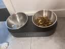 小佩宠物猫碗猫咪斜口碗 双碗15°护颈猫食盆狗碗 不锈钢双食碗 实拍图