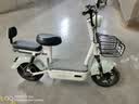 驰小虎电动自行车 吉祥虎新国标电动车电动自行车48V12Ah铅酸电池长续航电瓶车成人代步车电车 绿色 实拍图
