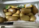 佳沛（zespri）新西兰 阳光金果18粒超大果原箱单果175-204g 猕猴桃水果礼盒 实拍图