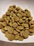皇家猫粮 成猫猫粮 室内长毛猫 ILH35 通用粮 1-7岁 4.5KG 实拍图
