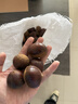 【26年新下树】云南新鲜板栗头茬果种植户直供非油栗可生吃 云南板栗头茬果 4斤 实拍图