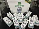 伊利金典3.6g乳蛋白鲜活牛奶（苗条砖）250ml*10 90天短保礼盒装 7月 实拍图