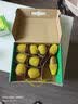 佳沛（zespri）新西兰阳光金奇异果 9个装单果重约175-204g 源头直发一件包邮 实拍图