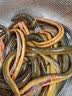 电风扇家用桌面风扇新款折叠伸缩台扇USB小风扇便携学生宿舍制冷轻音风扇 【直插款】-黑色绿色随机发（无开关无档位）A 实拍图
