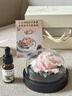 Para Ella永生花陶瓷花牡丹香薰生日礼物女友妈妈教师节老师退休七夕情人节 实拍图