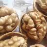 【限时优惠】新疆185纸皮生核桃5斤原味坚果孕妇零食核桃纸皮薄皮 【5斤手剥即开】精选185纸皮核桃 新疆阿克苏老树大号185纸皮核桃 实拍图