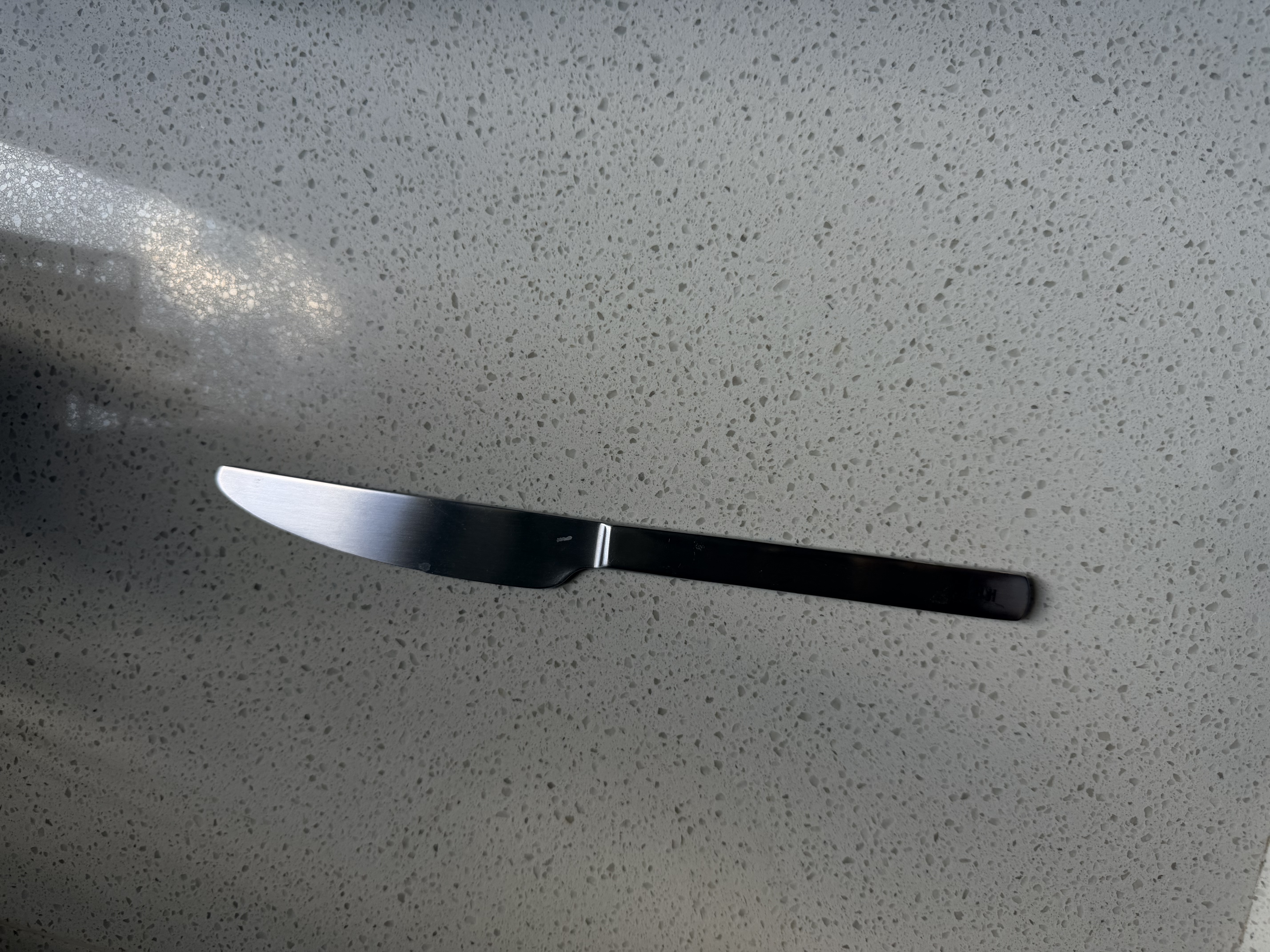 MUJI不锈钢 餐刀 餐具 长22cm 实拍图