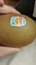 佳沛（zespri）新西兰阳光金奇异果10粒巨大果单果146-175g 猕猴桃水果礼盒 实拍图