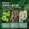 史丹利3L包装营养土园艺有机土通用型种花种菜养花专用泥炭土壤种植土 实拍图