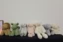Jellycat害羞乳白色邦尼兔动物毛绒玩偶安抚玩偶娃娃送礼生日礼物 害羞乳白色邦尼兔 Medium 实拍图