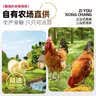 德州扒鸡山东特产礼品熟食腊味烧鸡开袋即食五香精选童子鸡500g1斤 实拍图