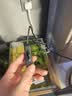吉印刀锋s鱼缸灯led灯防水全光谱鱼缸照明灯水草灯小型专用鱼灯76cm 实拍图