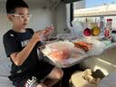 洁丽雅（Grace）一次性餐垫20片儿童辅食外出餐桌垫纸 实拍图