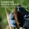史丹利园艺手套花艺防刺防水挖沙赶海工具花园种花月季园林种植 L码 实拍图
