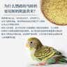 开元鹦鹉奶粉手养玄凤牡丹鹦鹉饲料虎皮小太阳和尚专用雏鸟食幼鸟粮 实拍图