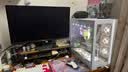 AOC爱攻昊天Max 27英寸QD-OLED Gen.3五层堆叠 4K240Hz 10Bit  DP2.1  0.03ms低蓝电竞显示器AG276UZD 实拍图