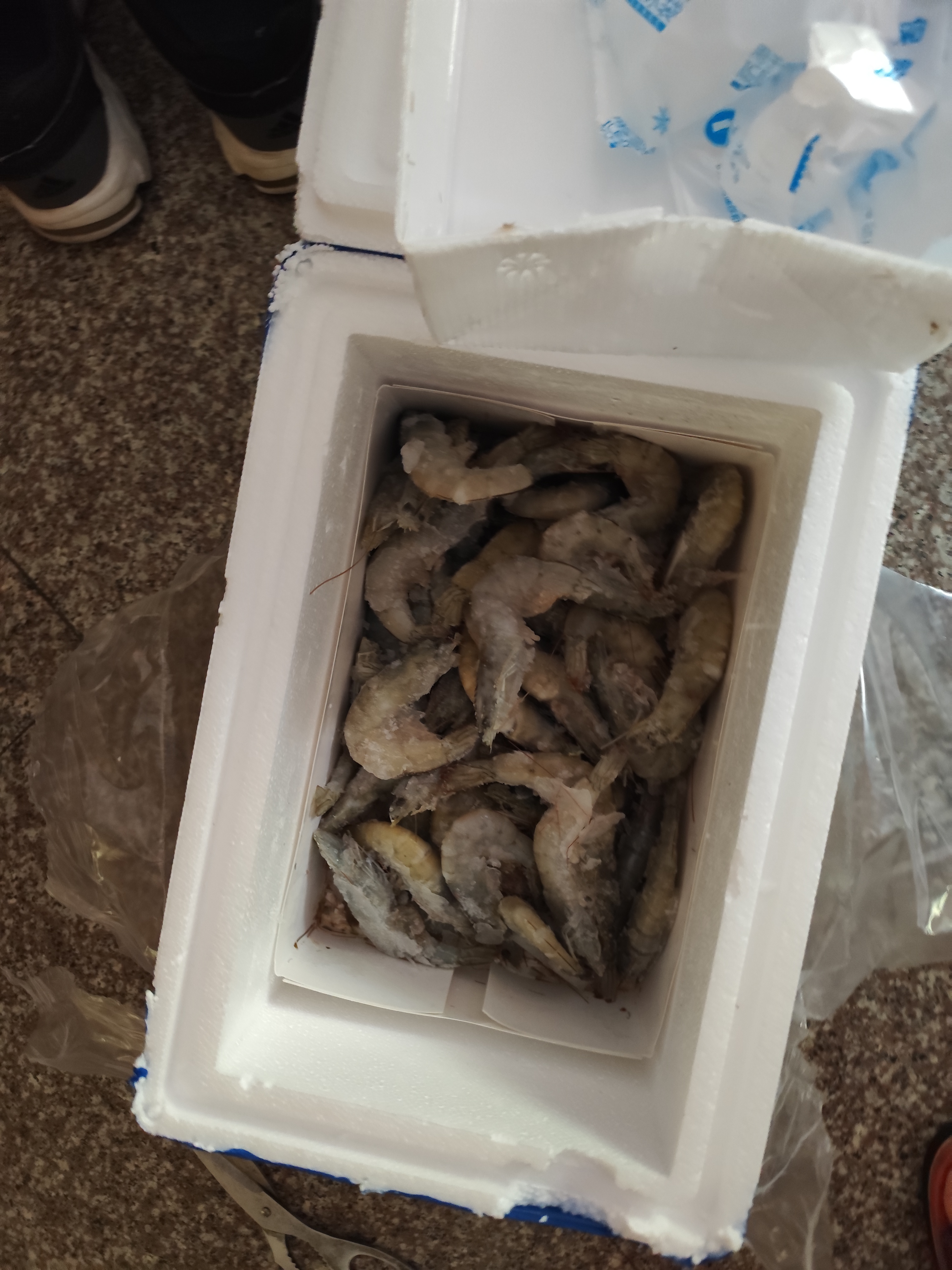 【手工抽肠】冰鲜青虾仁100g(约13-17粒) 实拍图