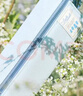 国誉Littlewoods系列C2大容量可平摊式笔袋大号 雪松蓝 1个 WSG-PCN23LB 实拍图
