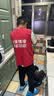 京东维修服务上门 壁挂炉维修检测上门服务(抵30维修费) 实拍图