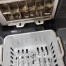 惠康制冰机家用小型方块冰迷你制冰块机器抑菌自清洁方块冰实心冰块制冰机 带水箱 实拍图