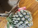 广东徐闻香水菠萝新鲜水果生鲜热带孕妇水果整箱包邮 【限时低价】1个装  净重650g起 实拍图