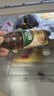 秋林格瓦斯 全麦面包发酵 0糖饮料 350ml*12瓶 整箱装哈尔滨特产 实拍图