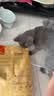 好主人猫粮 幼猫猫粮 室内天然粮 全价幼猫粮通用鸡肉味 2.5kg/5斤 实拍图