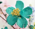 美学黑客 桃花 树枝装饰干花枝干花花束真花干枝干花客厅装饰落地干花树枝 蓝色单支含6朵花 长60-80厘米 实拍图