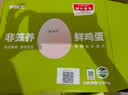 京鲜生【真散养】供港非笼养可生食鸡蛋30枚3.18斤 源头直发 实拍图