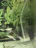 森森鱼缸增氧泵水族箱氧气泵LQE-100家用小型充氧泵4W单孔+全套配件 实拍图