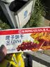 康元 提子饼干200g/袋 童年怀旧儿童点心节日下午茶点心办公室零食 实拍图
