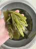 鲜窝窝 海白菜500g 新鲜裙带菜火锅食材 海带梗段凉拌菜海产干货 实拍图