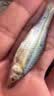 神鲨湖库王4.5米鱼竿超轻超硬碳素钓鱼竿手竿台钓竿鲤鱼杆鲫鱼竿渔具 实拍图