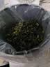 郑莲英（ZHENGLIANYING）非遗特级铁观音250g清香型茶叶安溪正宗乌龙茶自己喝 实拍图