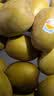 佳沛（zespri）新西兰阳光金奇异果10粒巨大果单果146-175g 猕猴桃水果礼盒 实拍图