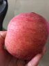 宏辉果蔬烟台特级红富士苹果水果新鲜当季脆甜大果中果超大果160-240g单果 80mm（含）-85mm(不含) 5斤 晒单实拍图